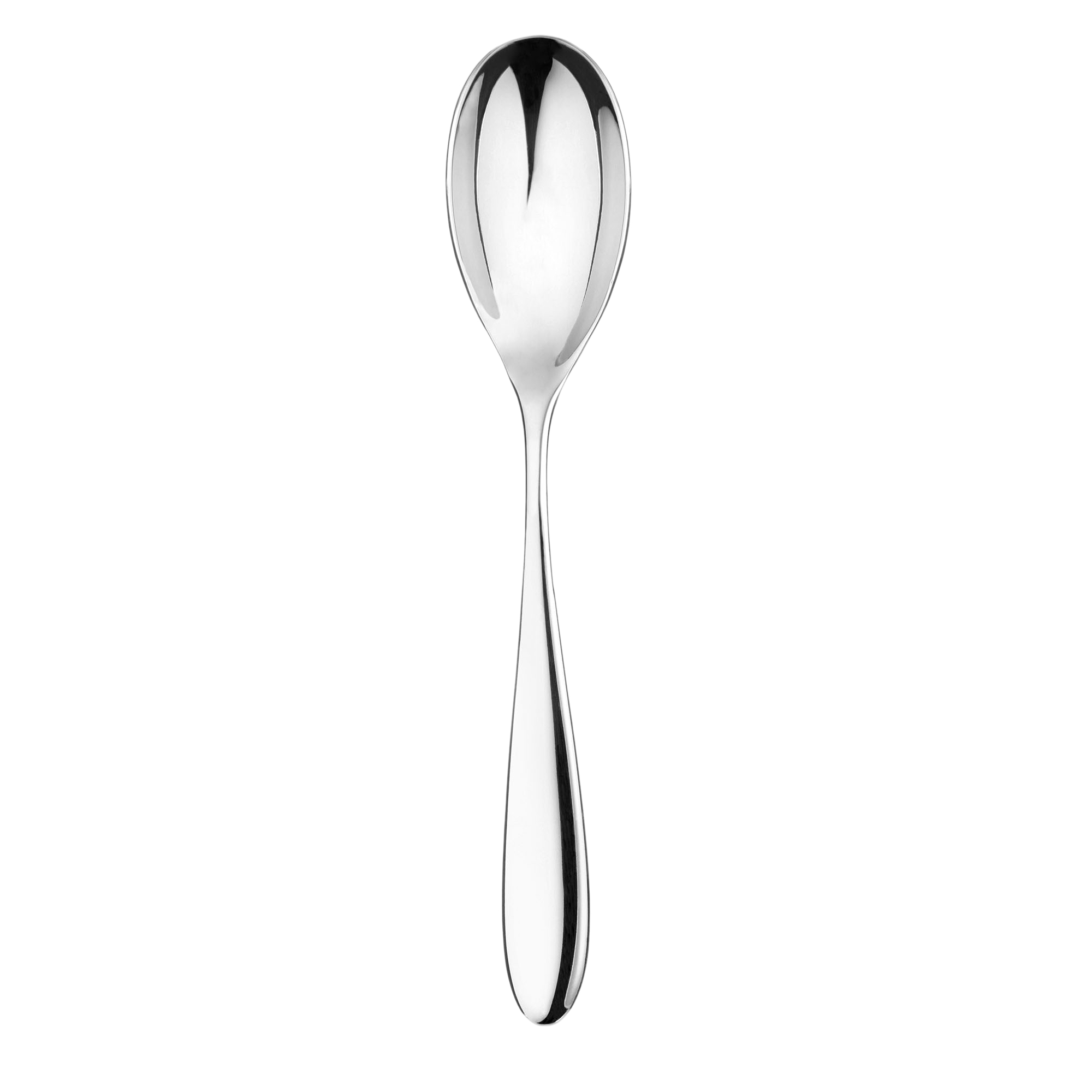 Serving Spoon - Santol Mirror Finish