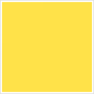 Custard Cream 2023 Chair Sash - Custard Cream