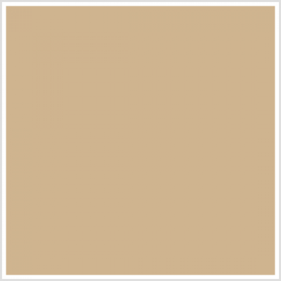thmb_cappuccino Chair Sash - Cappuccino