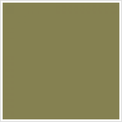 thmb_olive_oil Chair Sash - Olive Oil
