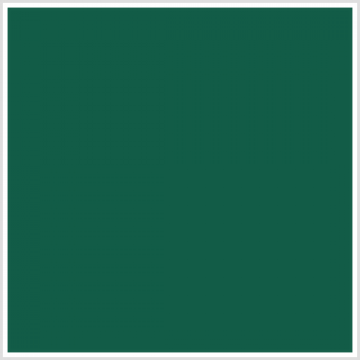 Waiters Apron - Knee Length - Spinach